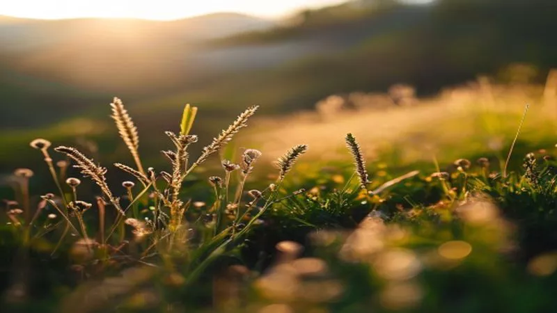 ND Filters 2026: Essential for Landscape and Long Exposure Shots