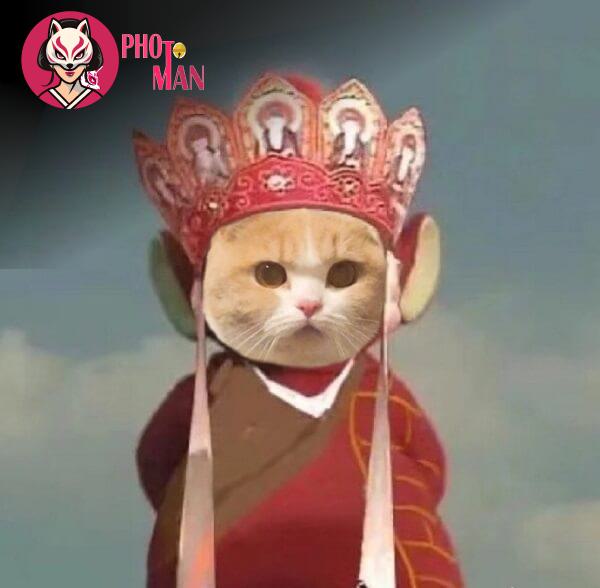 Hình ảnh thêm (46)