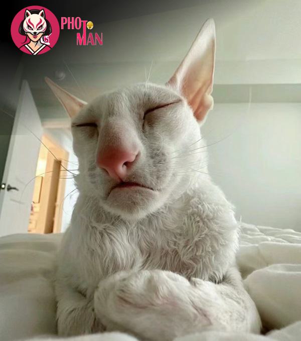Hình ảnh thêm (17)