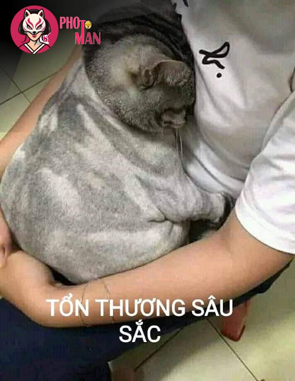 Hình ảnh thêm (85)