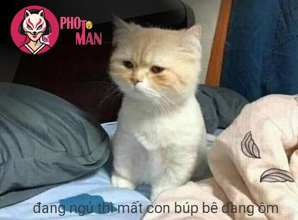 Hình ảnh thêm (88)