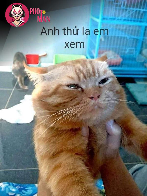 Hình ảnh thêm (89)