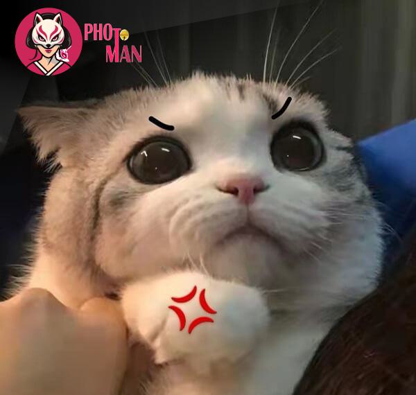Hình ảnh thêm (24)